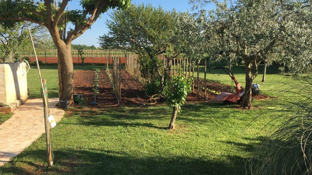 Appartment Hacienda Monica Umag Exteriör bild